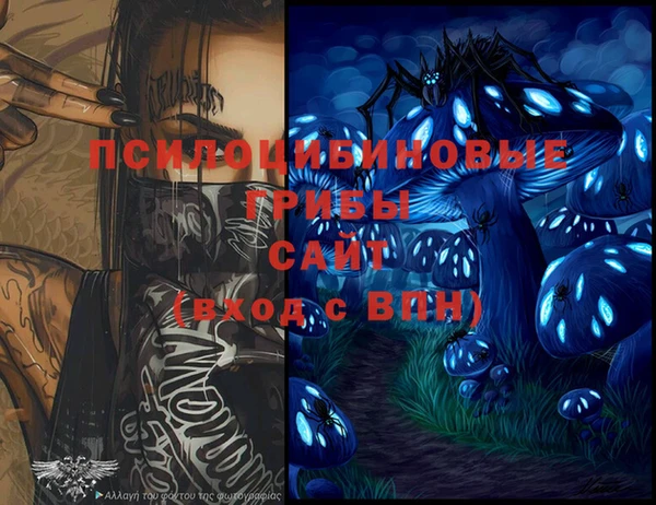экстази Осташков