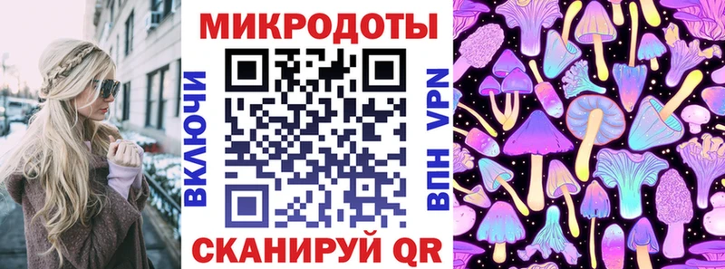 Галлюциногенные грибы Psilocybine cubensis  Лабинск 