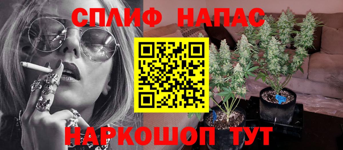 Канабис OG Kush Лабинск